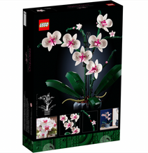 10311 Orchid