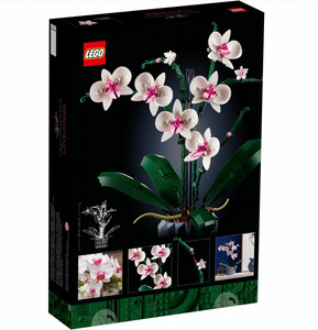 10311 Orchid