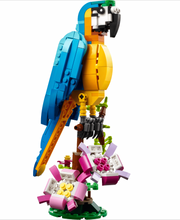 31136 Exotic Parrot