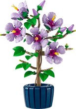 10372 Hibiscus