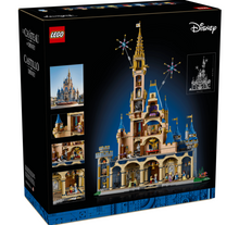 43222 Disney Castle 100