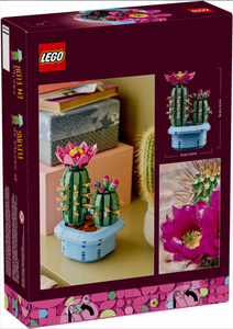 11509 Flowering Cactus