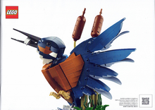 10331 Kingfisher Bird