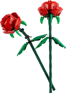 40460 Roses