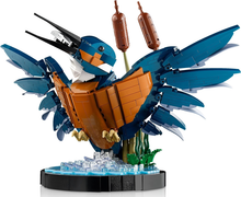 10331 Kingfisher Bird