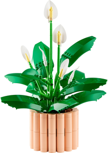 11504 Peace Lily