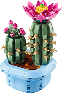 11509 Flowering Cactus