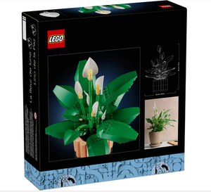11504 Peace Lily