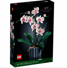 10311 Orchid