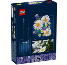 11508 Daisies