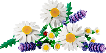 11508 Daisies