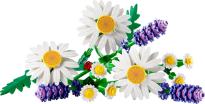 11508 Daisies