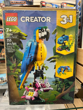 31136 Exotic Parrot