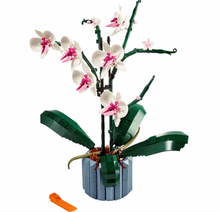10311 Orchid