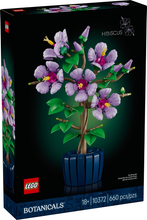 10372 Hibiscus