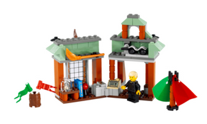 4719-C Quality Quidditch Supplies