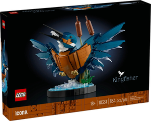 10331 Kingfisher Bird