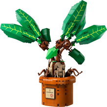 76433 Mandrake